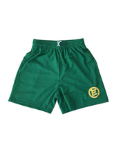 Load image into Gallery viewer, Ecosys Shorts