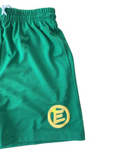 Load image into Gallery viewer, Ecosys Shorts