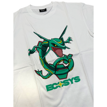 Load image into Gallery viewer, *1/1 Sample* Tee 031 Size XL